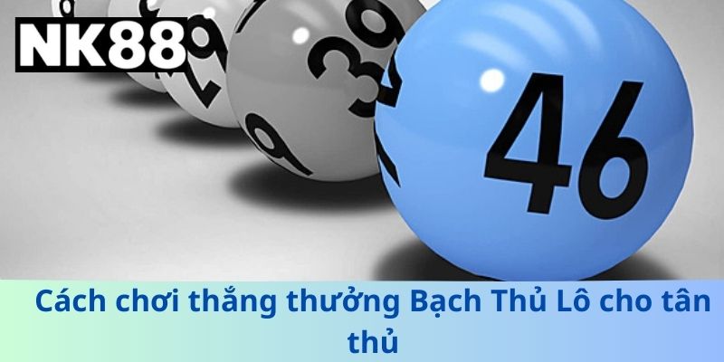Cách chơi thắng thưởng Bạch Thủ Lô cho tân thủ